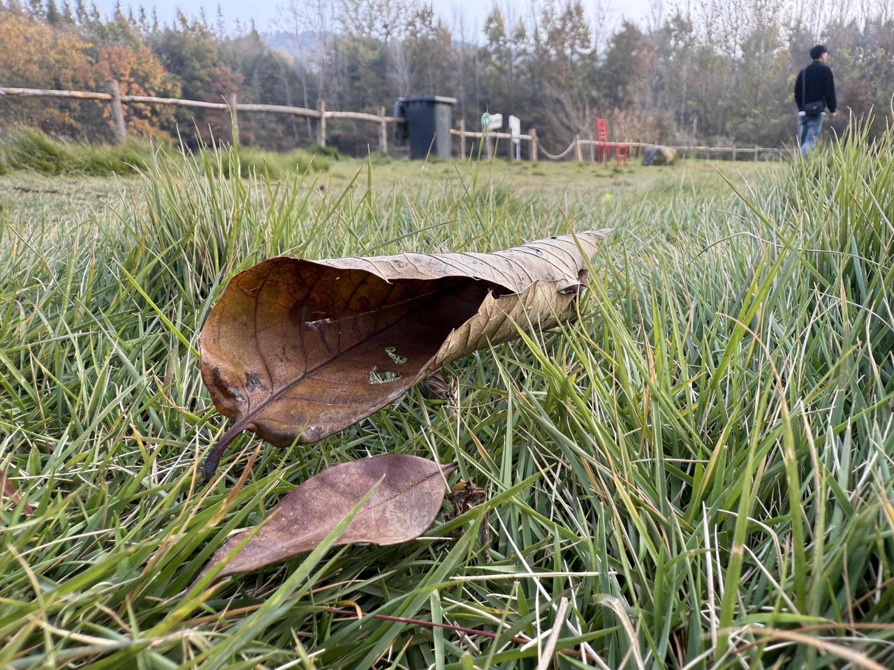 真正踏入了婚姻，才懂得那句“婚姻是牢笼”。或许年轻的人们总是憧憬向往着爱情，与