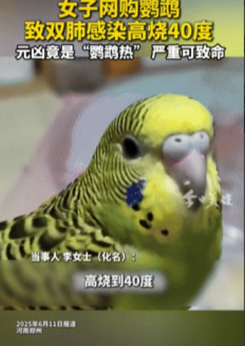 “林子大了什么鸟都有啊！”河南郑州，一女子花50元在网上购买了只鹦鹉，没想到，收