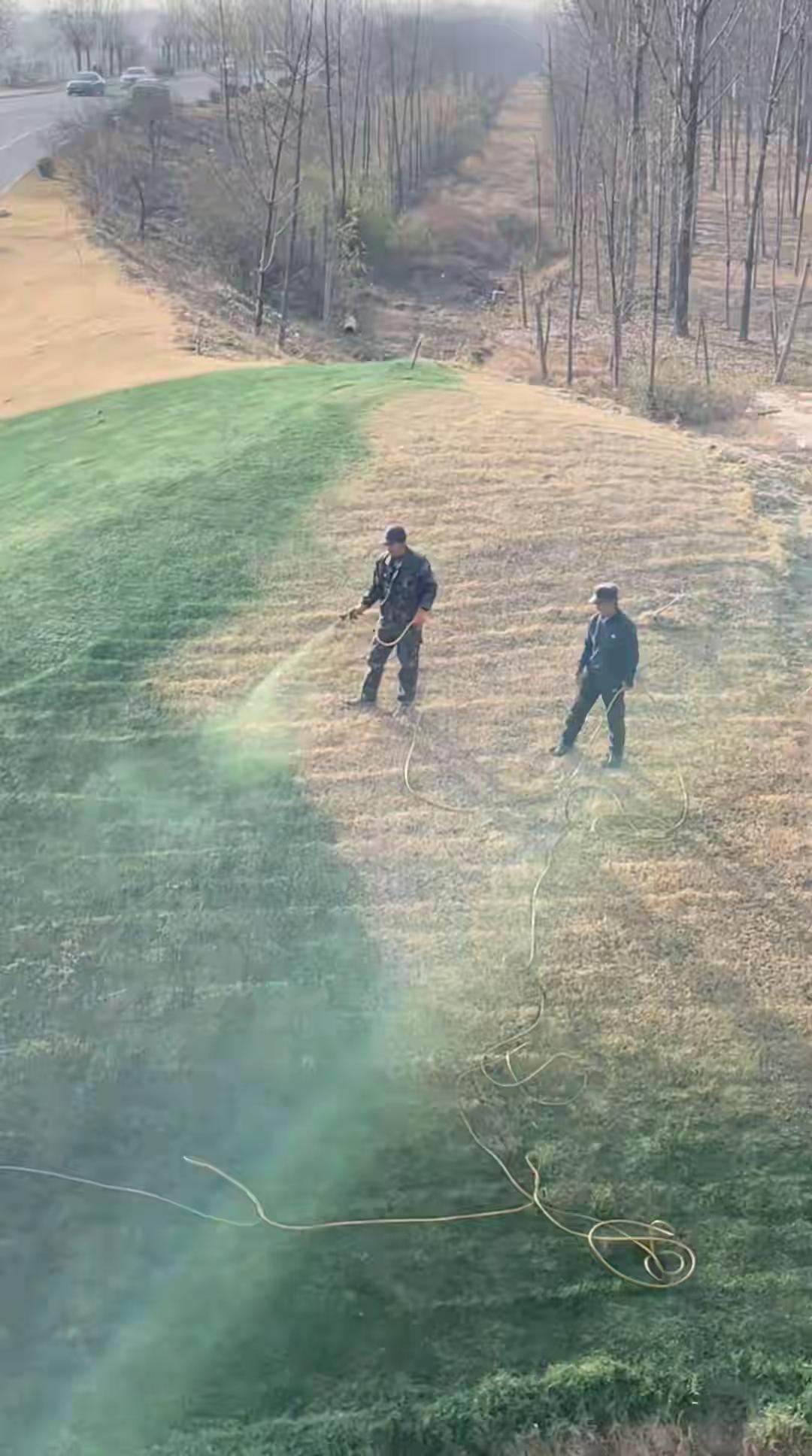 近日，陕西咸阳市兴平市一段“工作人员给枯草喷洒绿色液体”的视频在社交平台引发热议