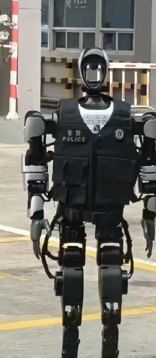 中印边境机器人站岗：技术赋能下的边境防御新维度中印边境解放军部署机器人