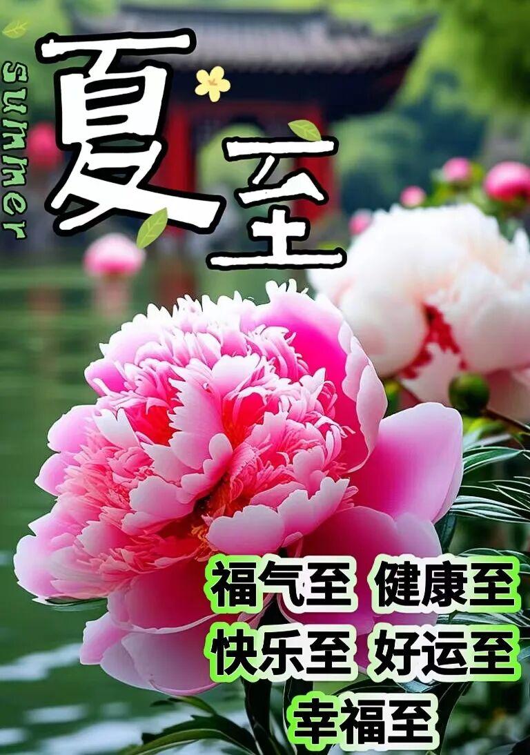 早上好。夏至逢晨，暖意绵长，风携夏意，岁岁安康。告别春日温柔，拥抱盛夏热烈，愿所