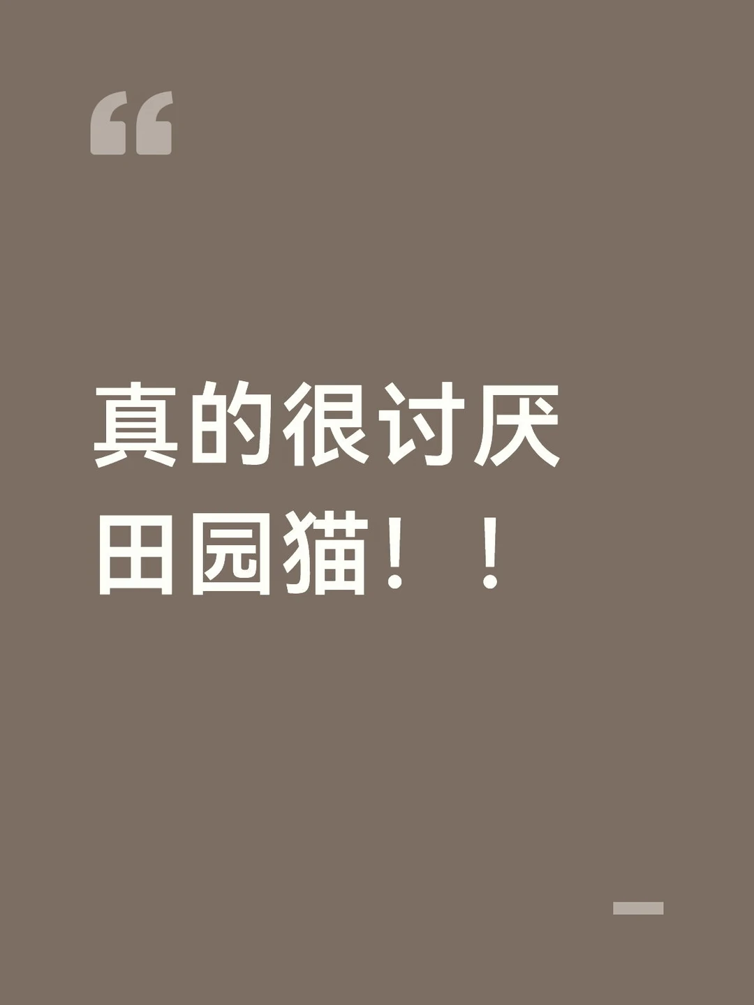 真的很讨厌田园猫！！ 为什么这么可爱这么亲人！ 为什么没有人领养我们田...