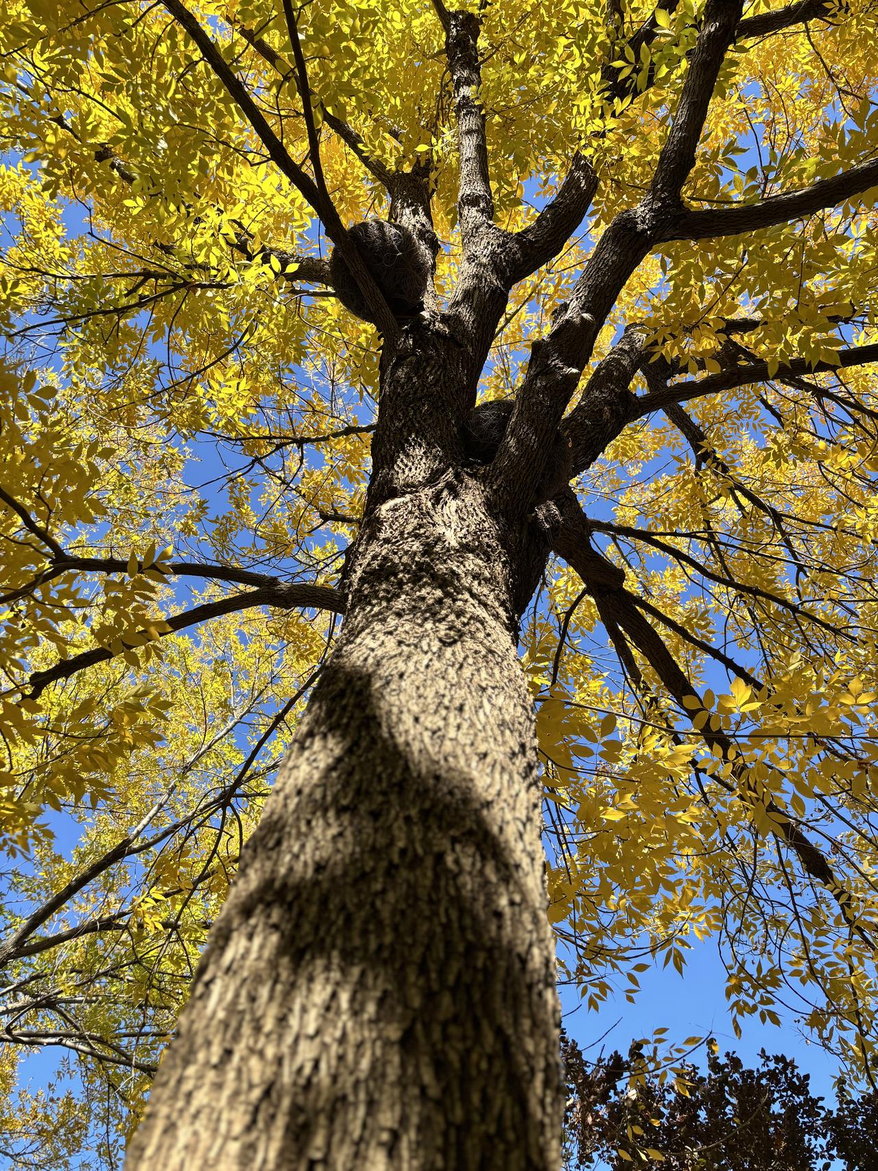 我最近视力比以前好了一点点，不知道这是不是衰老的标志。以前的时候，左右眼视力