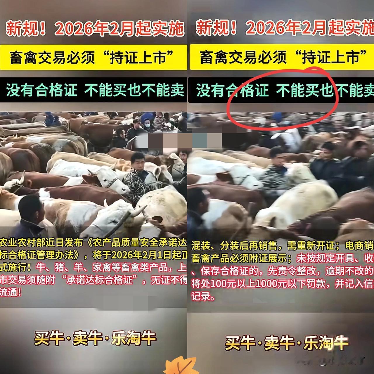 新规！畜禽交易要办证了、没有合格证不能买卖！农业农村部新规落地，2026年2月