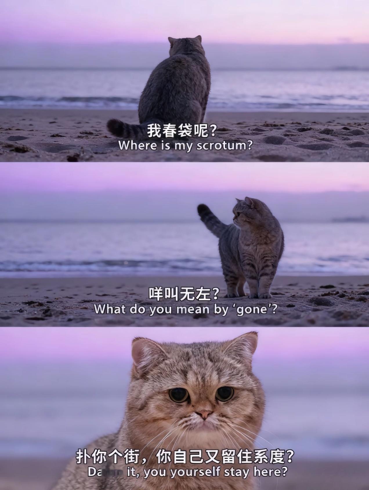 《消失的春袋》