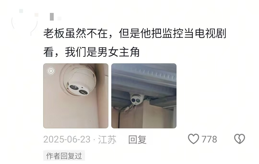 领导出差一周我放假7天领导不在工位，上班有滋有味