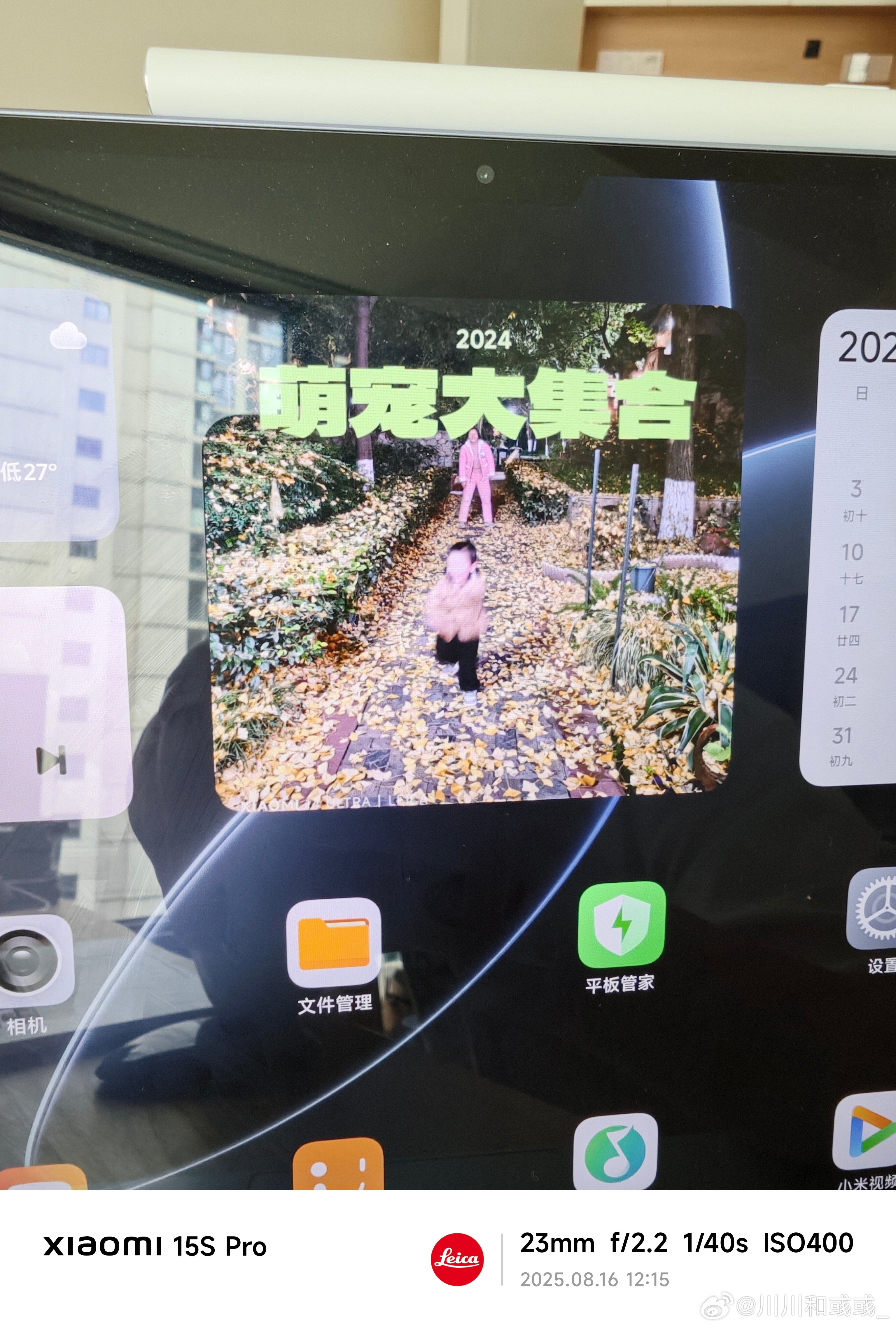 哈哈，笑死，虽然派派现在确实像个宠物[doge]​​​