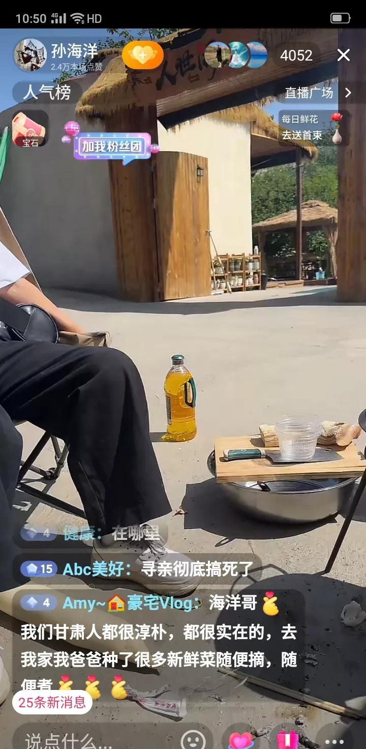 被孙海洋讲话逗死了，网友说“寻亲彻底搞死了”。 这句评论，精准地概括了近期网络上