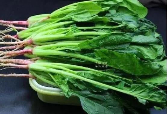菠菜再次成为关注对象！医生发现：吃菠菜时，千万多留意这3点 菠菜，被誉为“