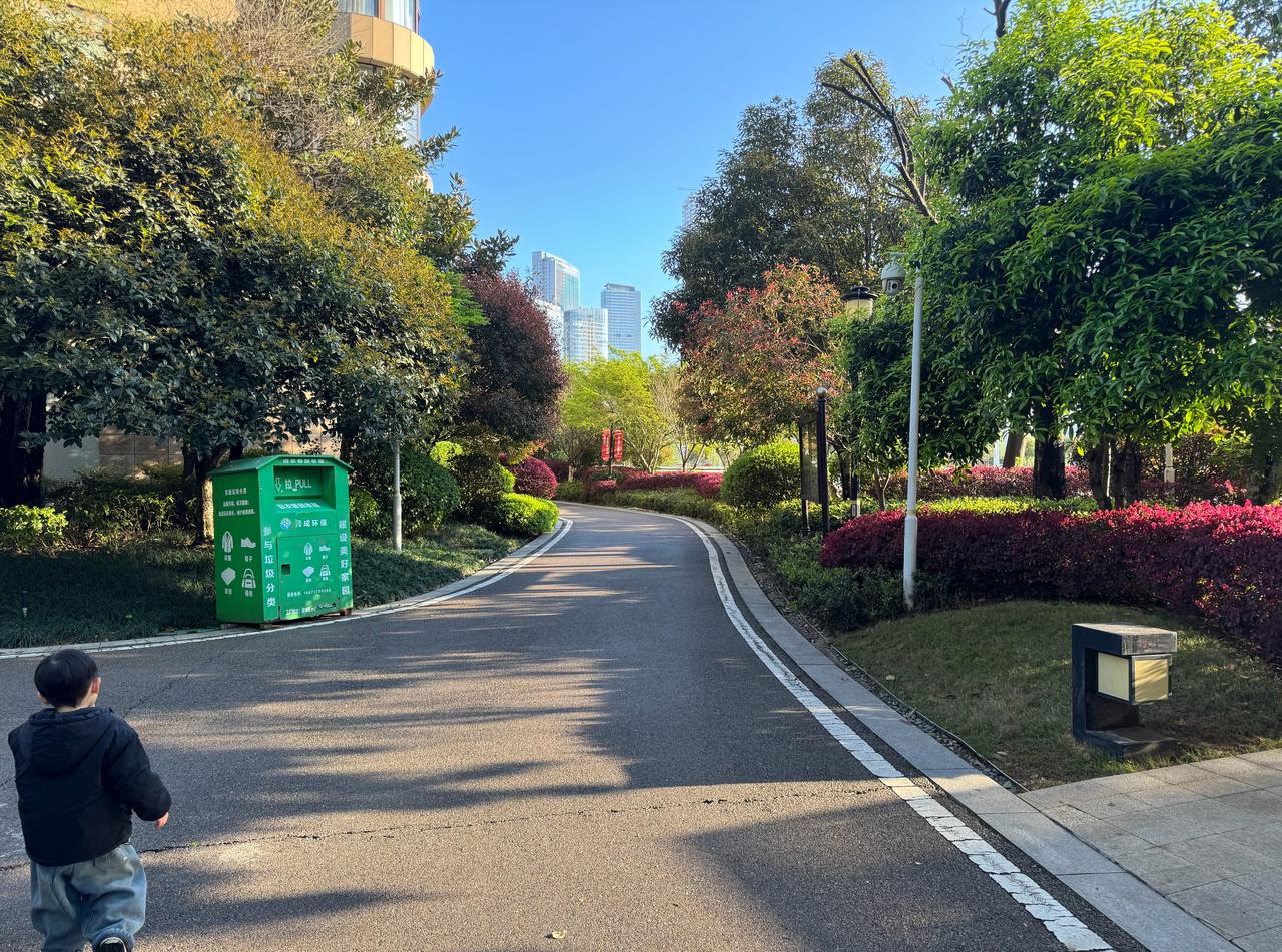 长沙终于种出太阳了🌞​​​