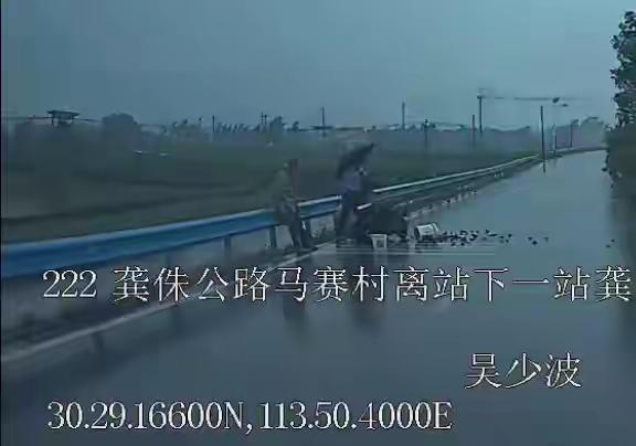 暴雨突袭路人摔倒被困！武汉这位公交师傅的举动太暖了（个人观点仅供参考，无任何