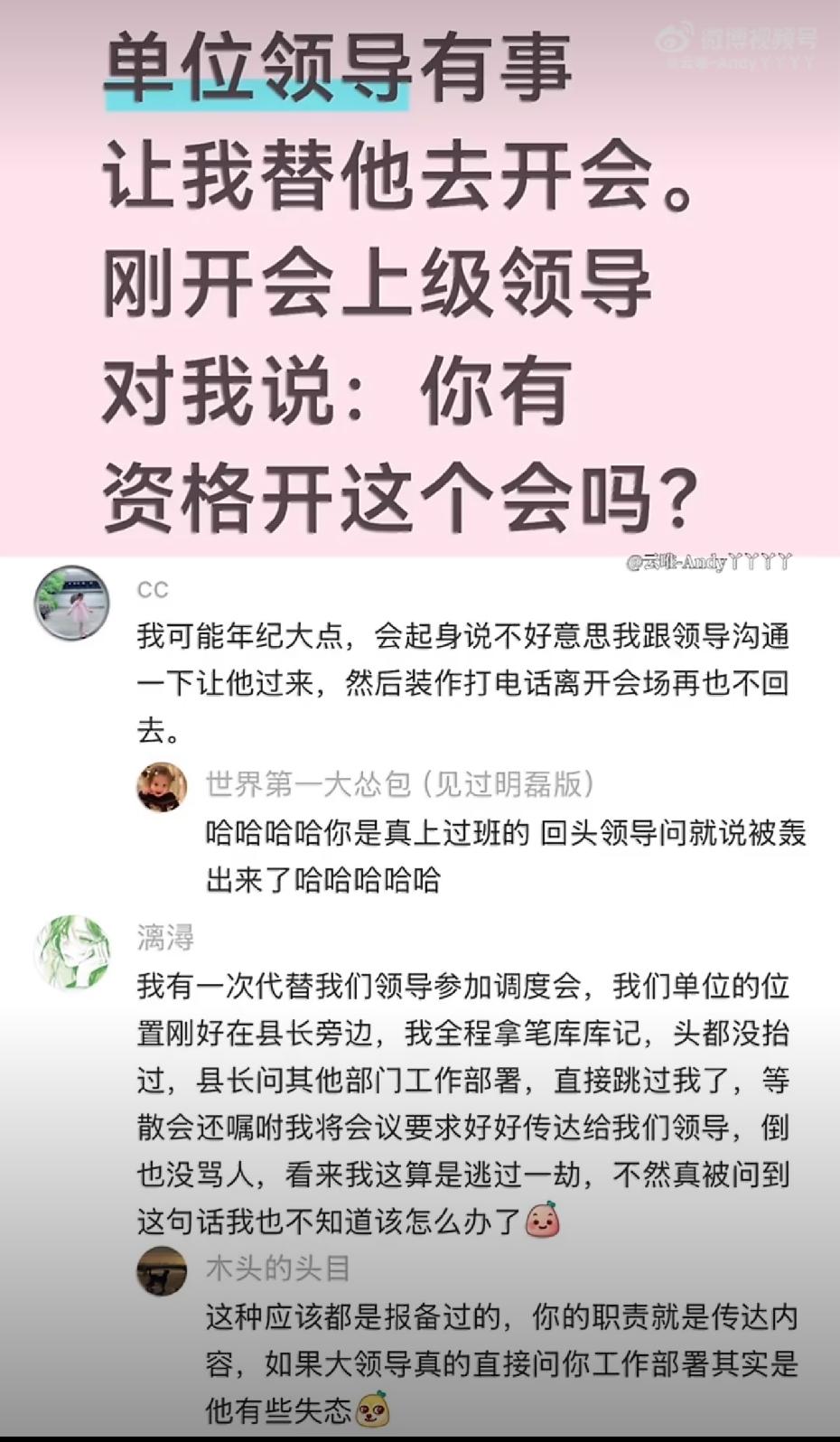单位领导有事让我替他去开会，刚开会上级领导对我说：你有资格开这个会吗？
