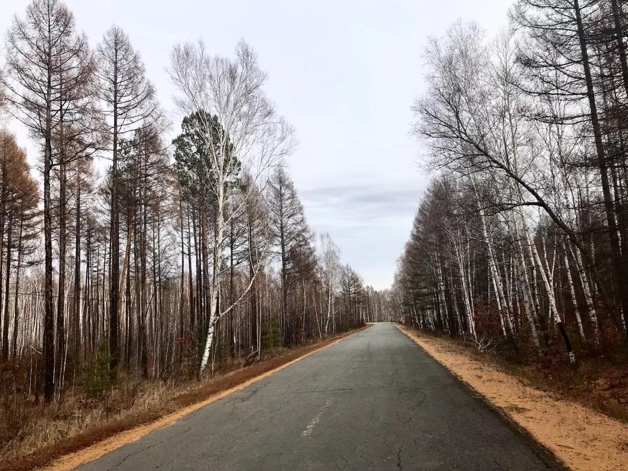 一叶坠地，先是擦过斜阳，把那片金黄镀得透亮。又乘着晚风，打了几个旋儿，这才