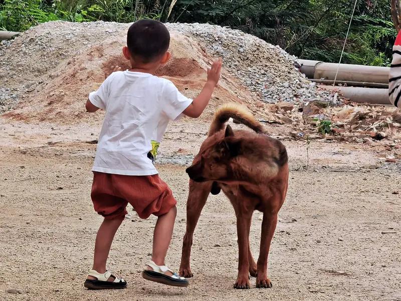 养男孩千万不要硬碰硬养儿子最忌讳的，就是硬碰硬。你越吼，他越犟；你越逼，他