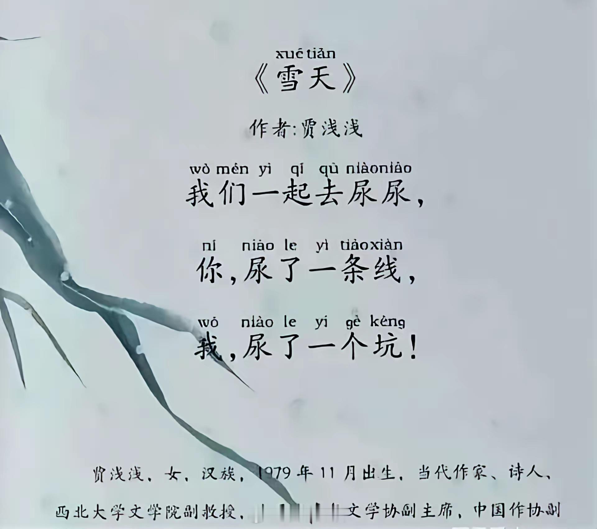 贾浅浅西北大学辞职贾浅浅的著名诗词《雪天》，通俗易懂啊。人才啊