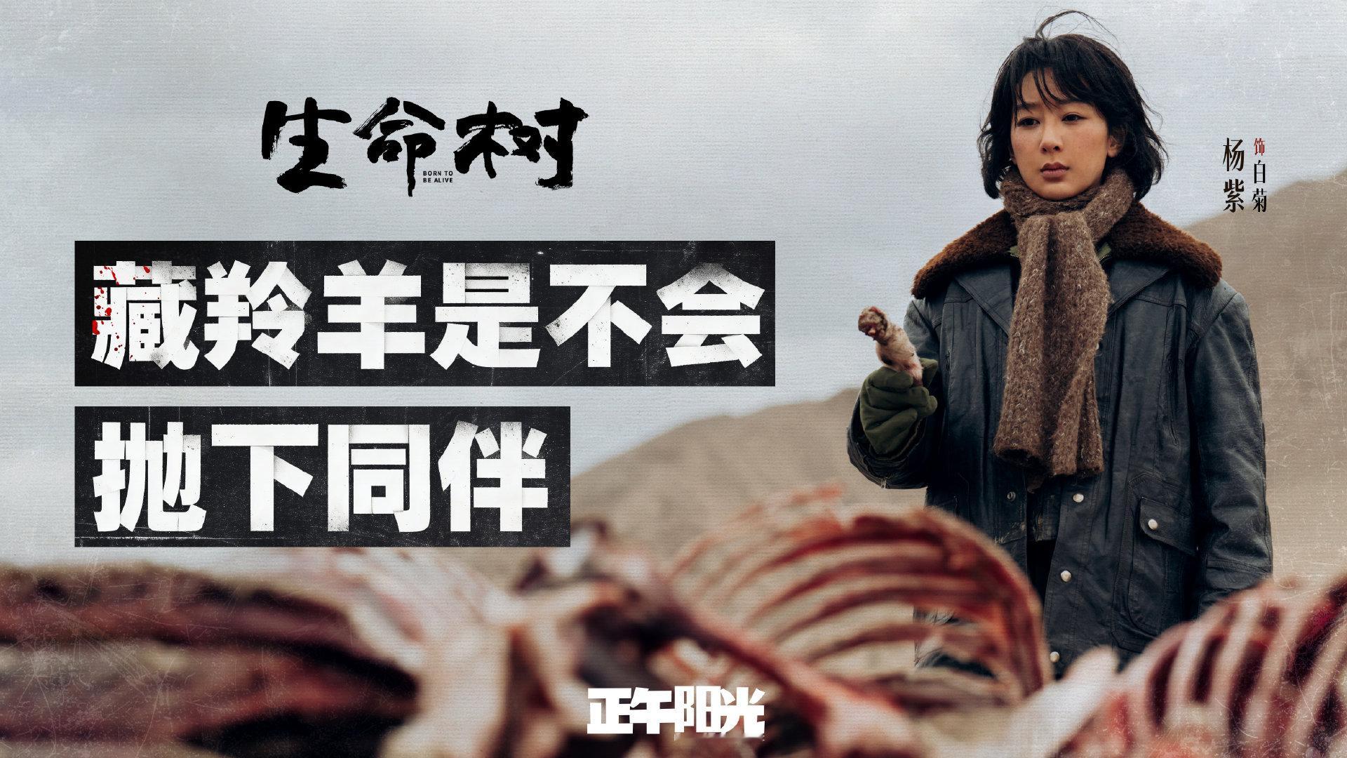 生命树云合9.4%杨紫生命树云合9.4%生命树云合9.4%，杨紫生命树开播