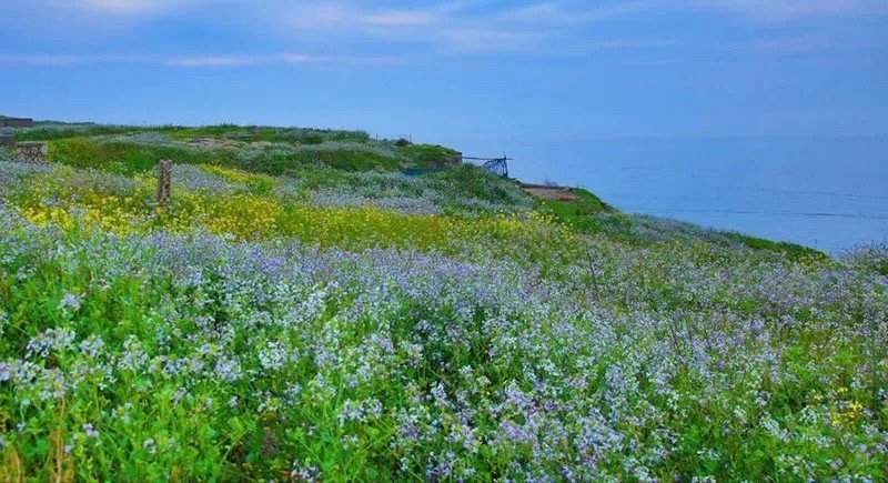 浙江渔山岛，给人的第一印象便是清新的空气，再加上蔚蓝的天，湛蓝的海，更是令人心