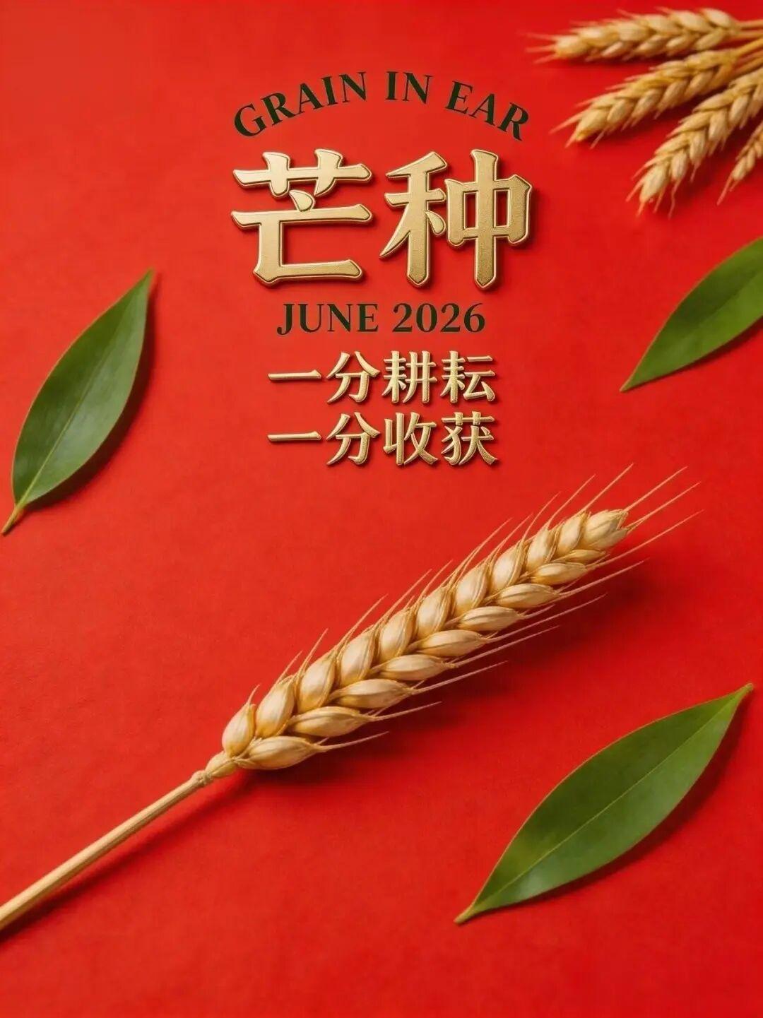 早上好！🌞新的一天，恰逢芒种，忙收忙种，岁月耕耘皆有期。晨起迎着清风，褪去慵