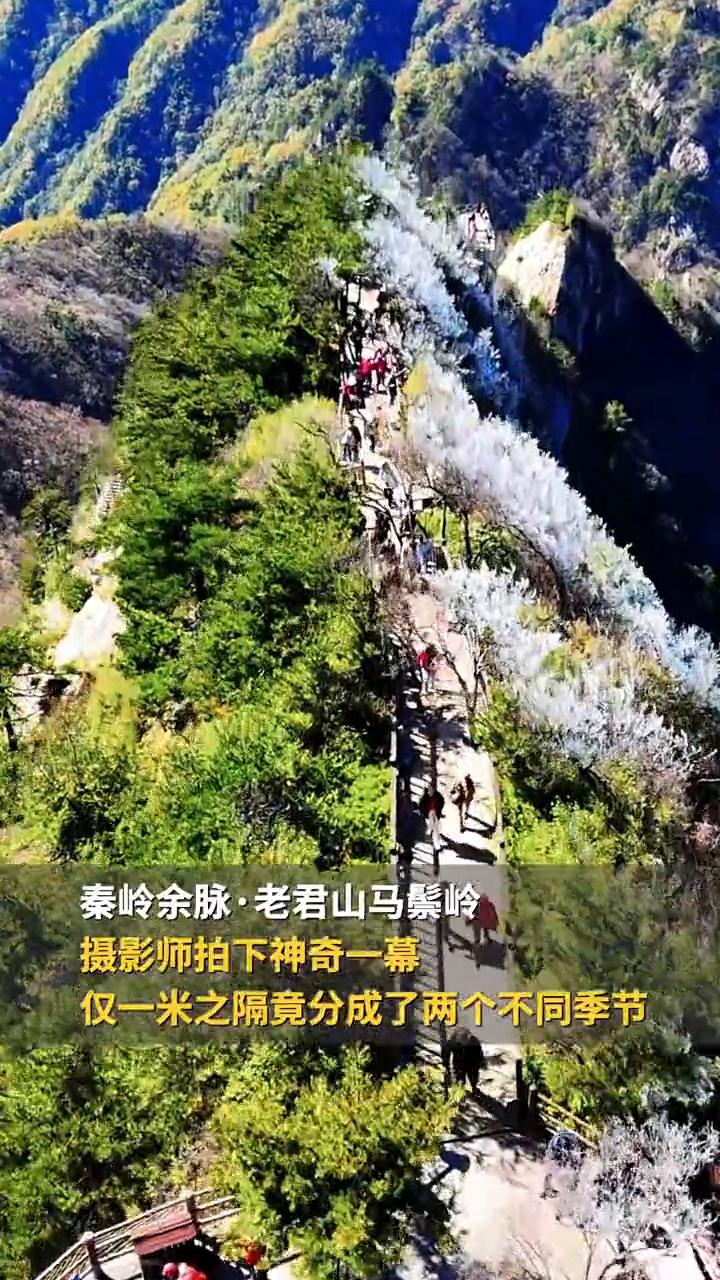 神奇的老君山分水岭，南北分界线在此刻具象化。秦岭余脉·老君山马鬃岭，摄影师拍下