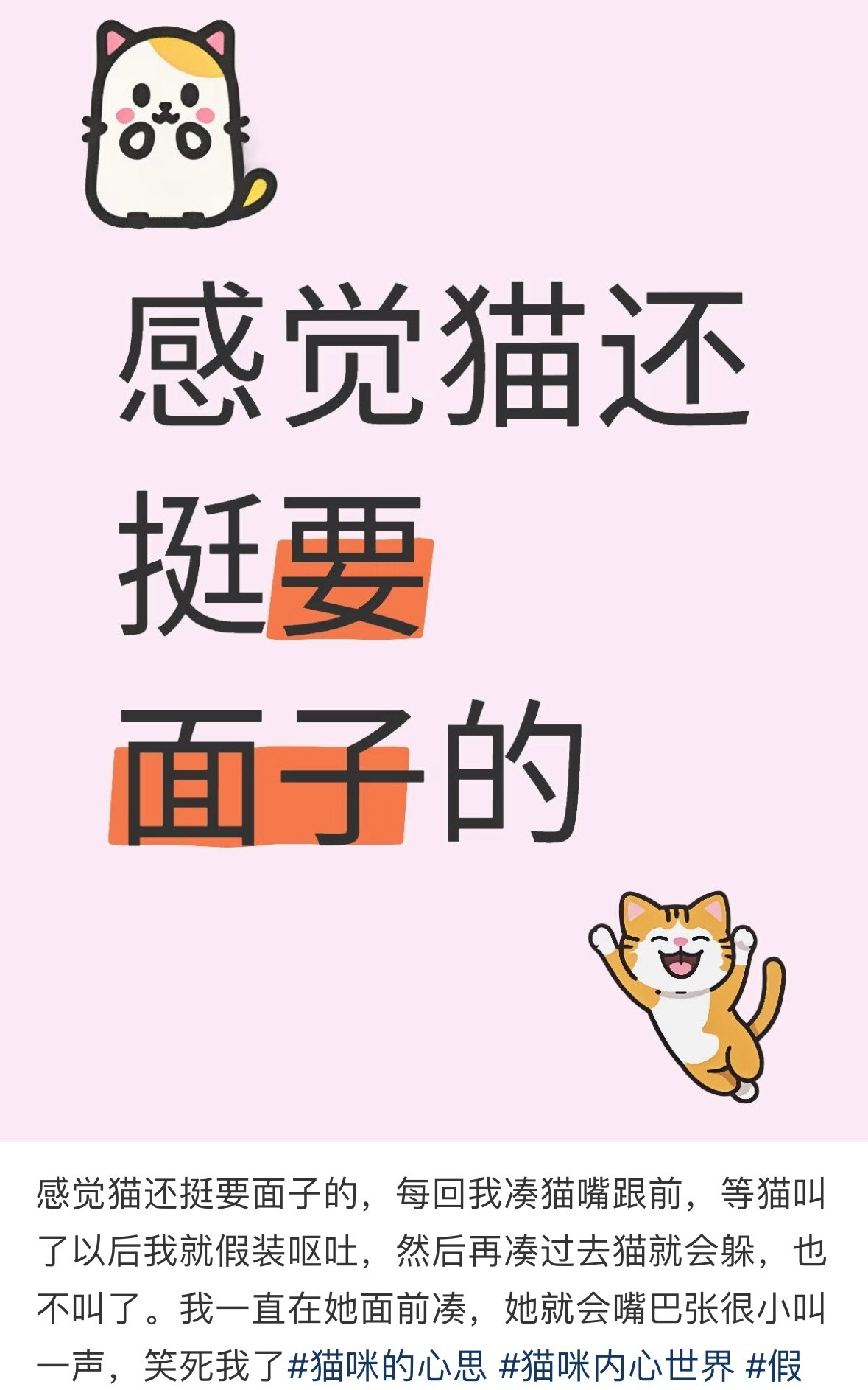 原来猫猫也挺要面子的