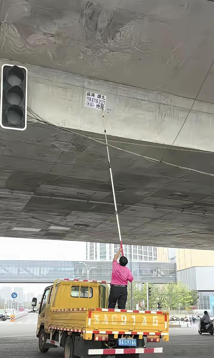 谁贴上去的，也是人才​​​