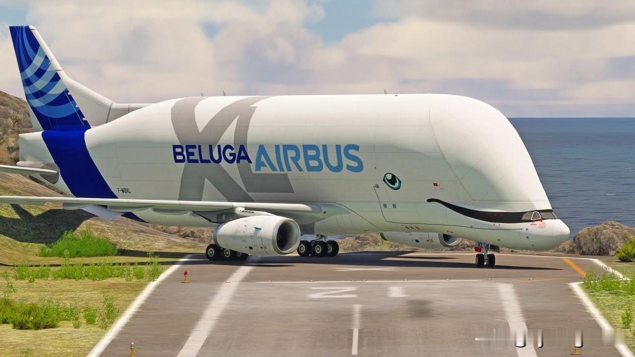 空客A300-600ST“大白鲸”运输机机队已正式退役。1月底，第五架也是最后一