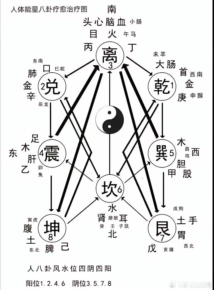 学会了治火，则中医思过半矣所谓“实火易清，虚火难除”，气有余便是火，实火证可以