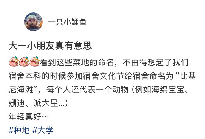 大学生给菜地取得名字都好可爱校园创作者计划
