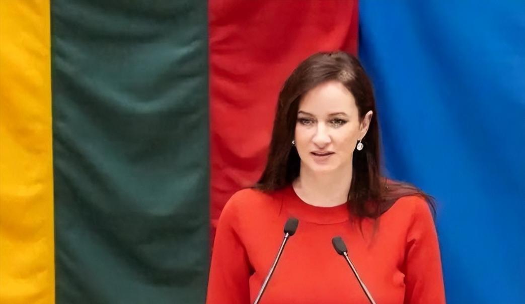 这下满意了吧？国台办正式回应立陶宛。2月11日，国台办举行例行新闻