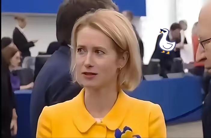 布鲁塞尔欧盟峰会刚刚（1月29日）结束，欧盟外长卡娅·卡拉斯就迫不及待对媒体放话