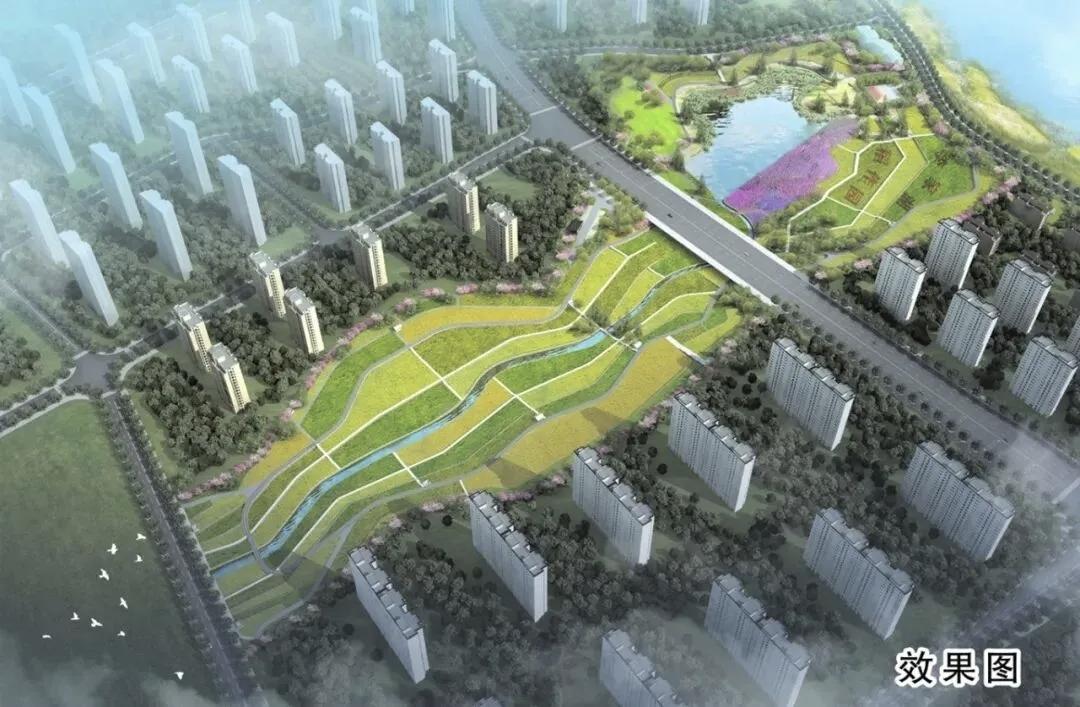 雏形初现！望城李家湖城市稻田公园加速建设都市田园新地标即将亮相春日植绿施