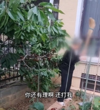 “冤不冤！”近日，辽宁，一位88岁老太到邻居家里偷樱桃，吃几个就算了，还专门拿了