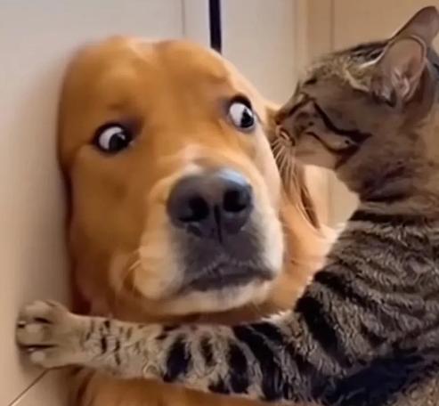 世界上最大的金融秘密已经结束。三十年来，日本向全球输出了人类历史上最便宜的资