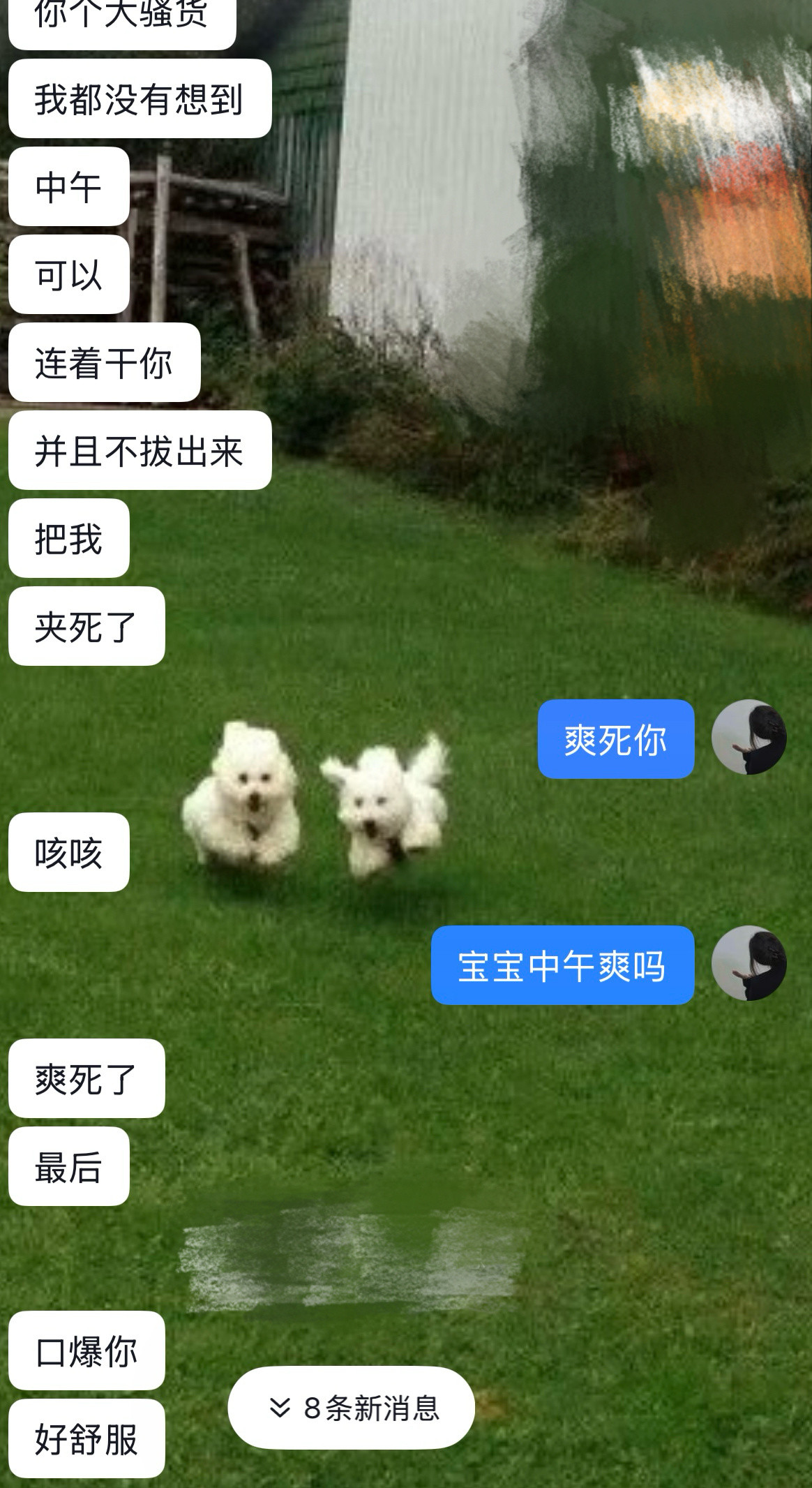 大哥别回味了