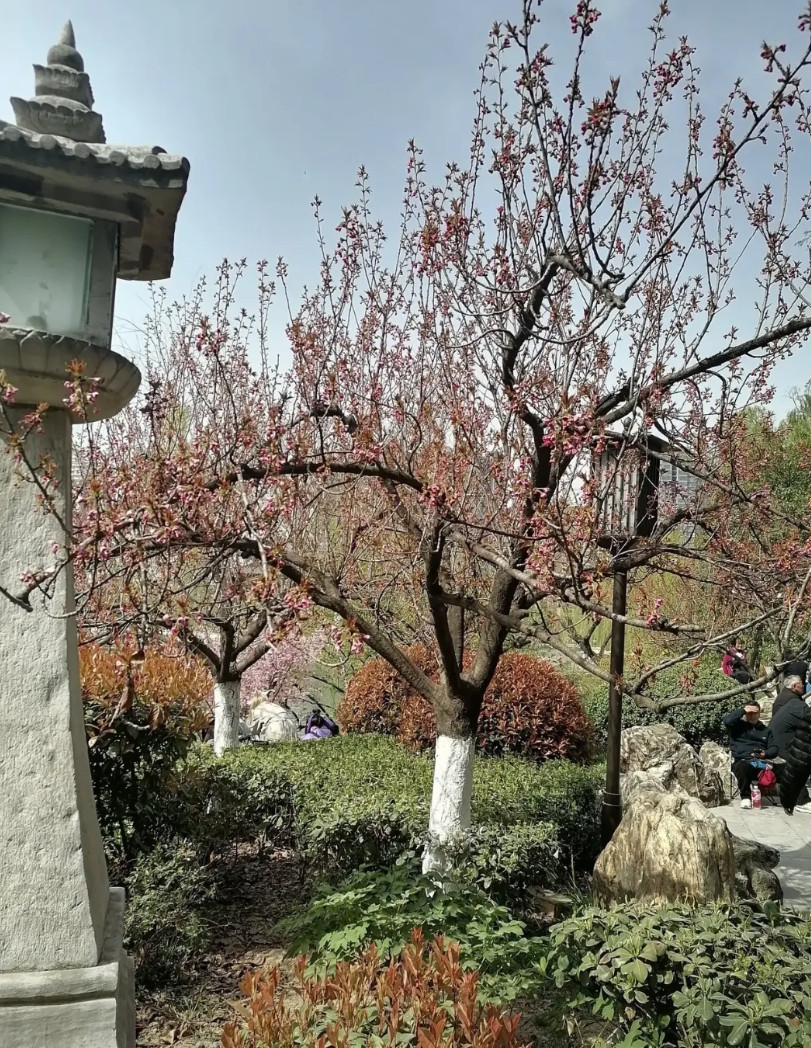 高分女生不用去卷计算机，电子信息这些专业了，今天知道一个更好的方向，后悔知道的晚