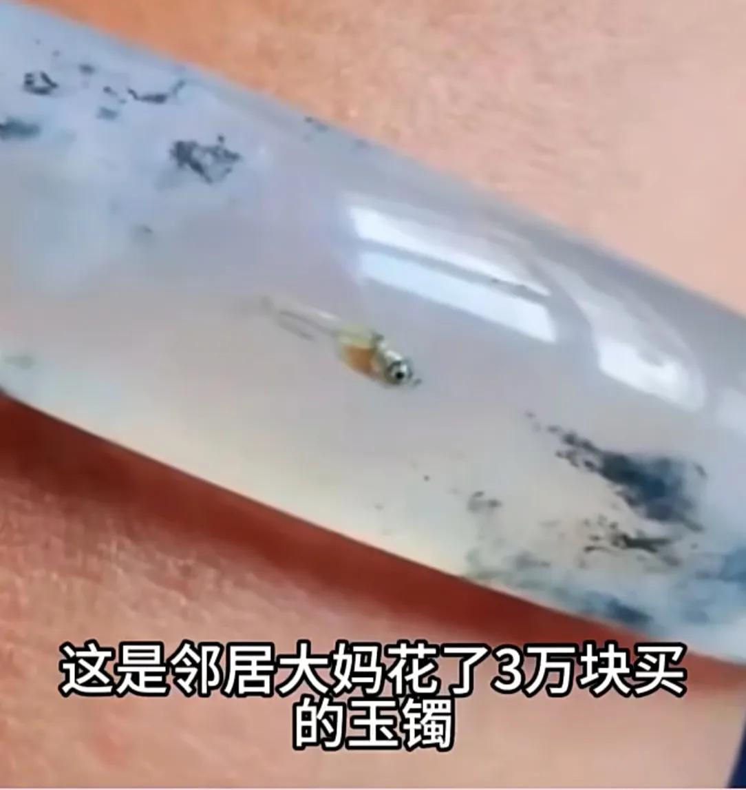 张大妈出去旅游回来，说在景区买了一个3万元的玉镯！手镯里面有一条鱼，张大妈说珍贵