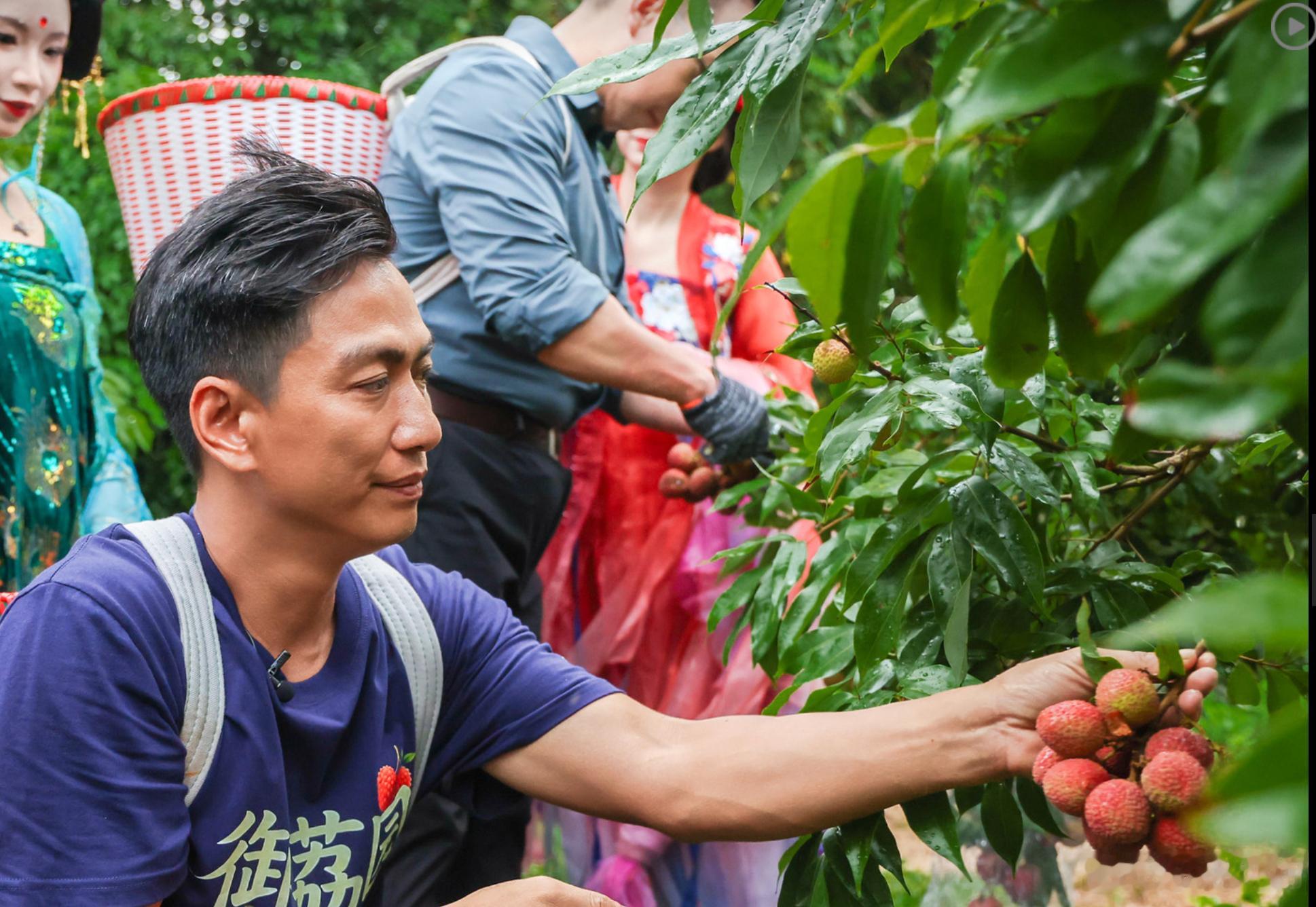 珠海荔枝鲜到西安今年荔枝收成有限，每一颗都来之不易，用心护送千里远行，足以见得
