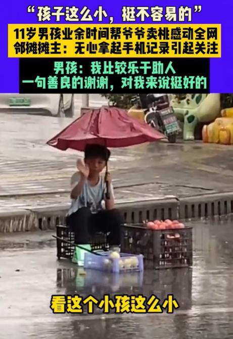 “懂事得让人心疼！”河南漯河，11岁男孩雨中独自守着爷爷的桃摊，一句“多得很，卖