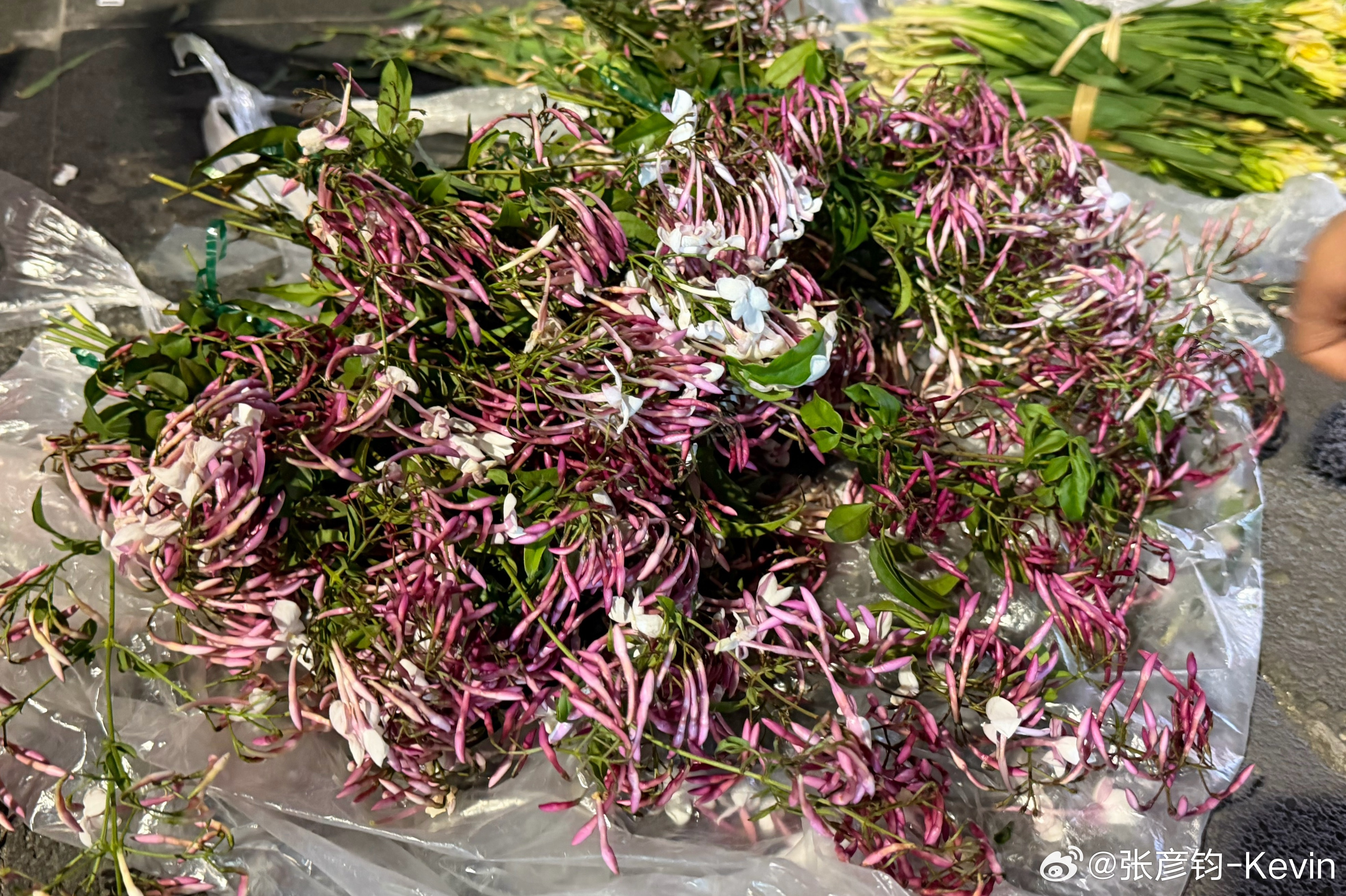 就大姐摊上这些东西，我就认知一笋子和香蕉？？？剩下全不认识。。。