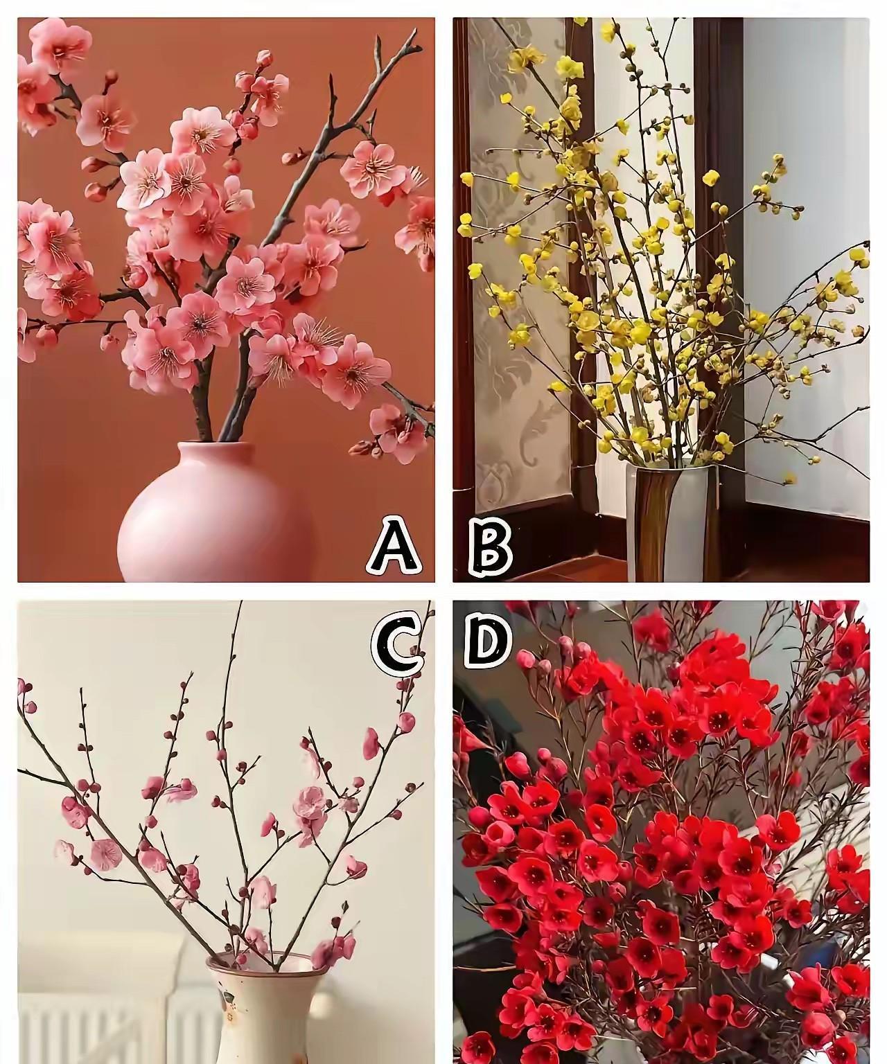 测测你年老之后，是会成为孩子的负担，还是能成为他们的得力帮手？下面四幅图的花，