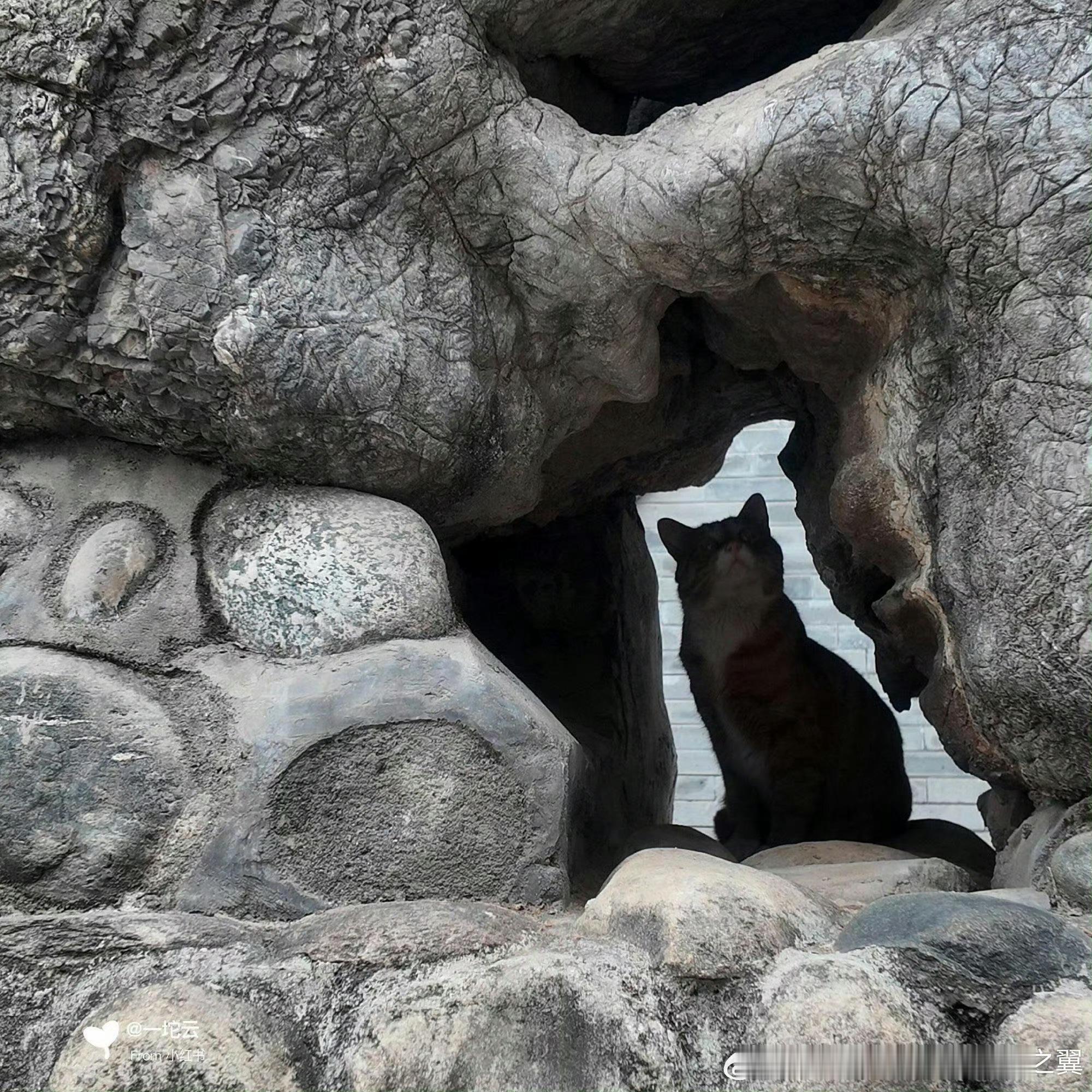 《严丝合缝》​​​