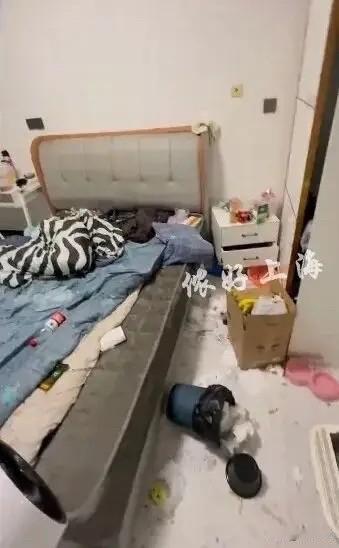 上海，一房东把房子租给00后情侣，两人却拖欠房租，就在房东急得焦头烂额时，两人突