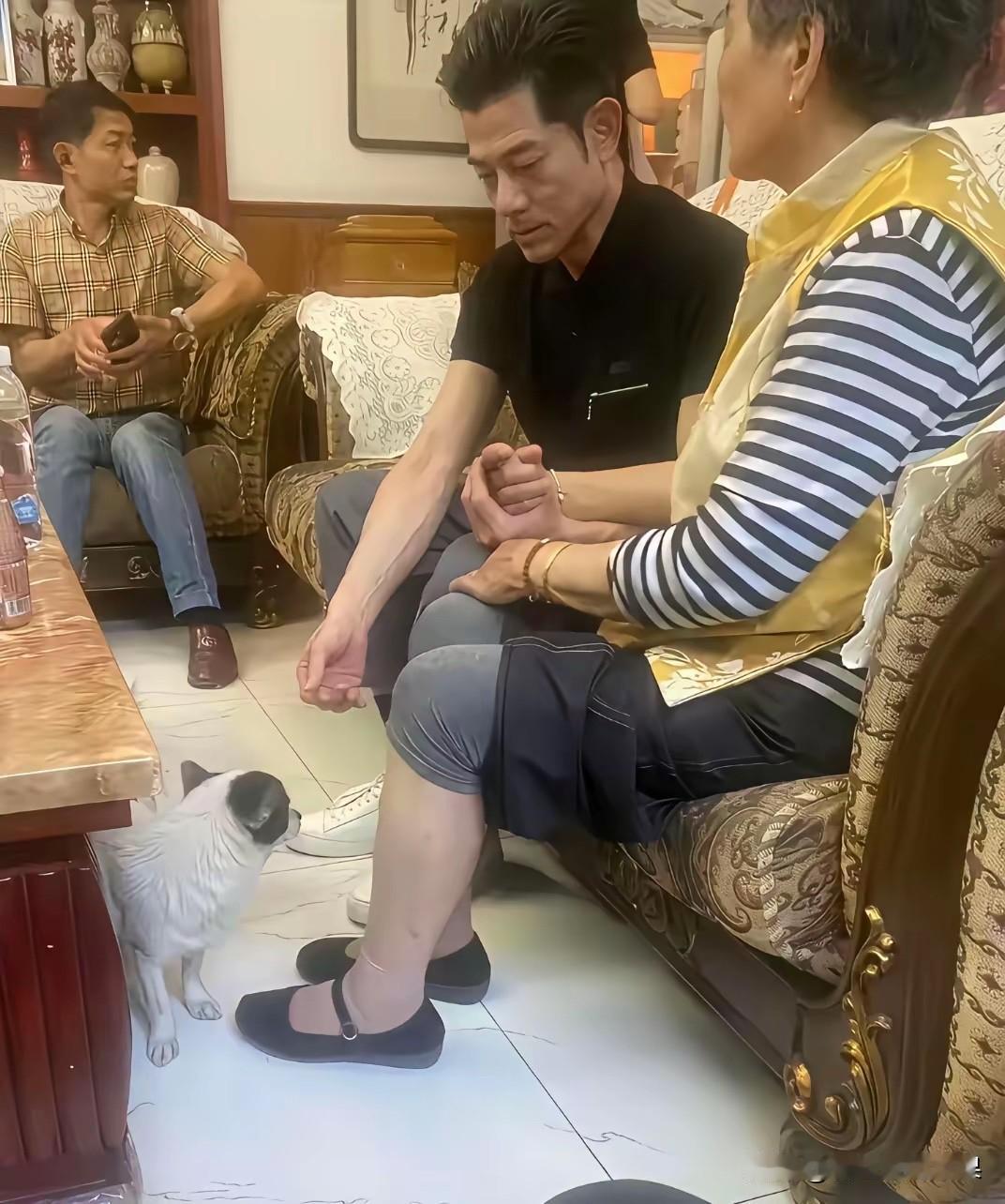电视上看着一般般，真人巨帅！