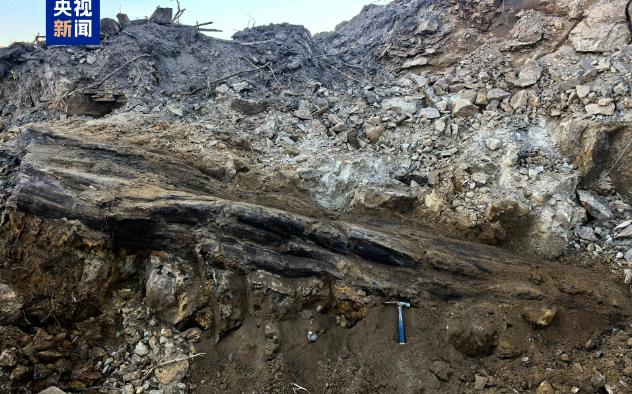 谁能料到在我国某施工工地上，一群工人修路基时竟意外刨出了个“远古硬货”，这东西不