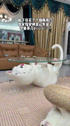 网友入手了一张超可爱茶几，底座是猫咪造型支架，呆萌又别致。家里的猫咪看完瞬