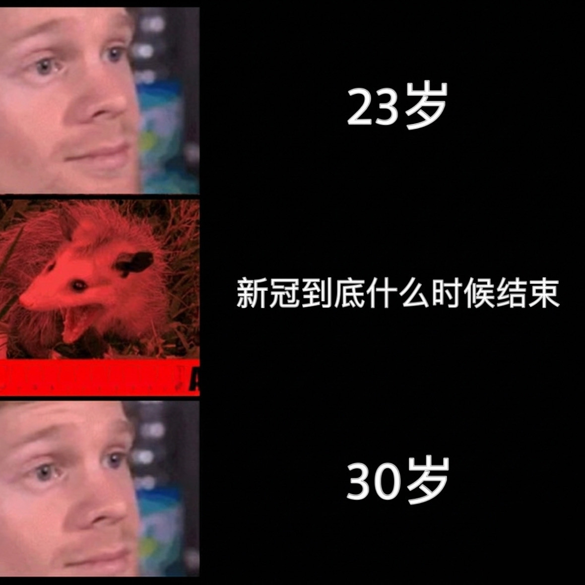 哎？不是！memes
