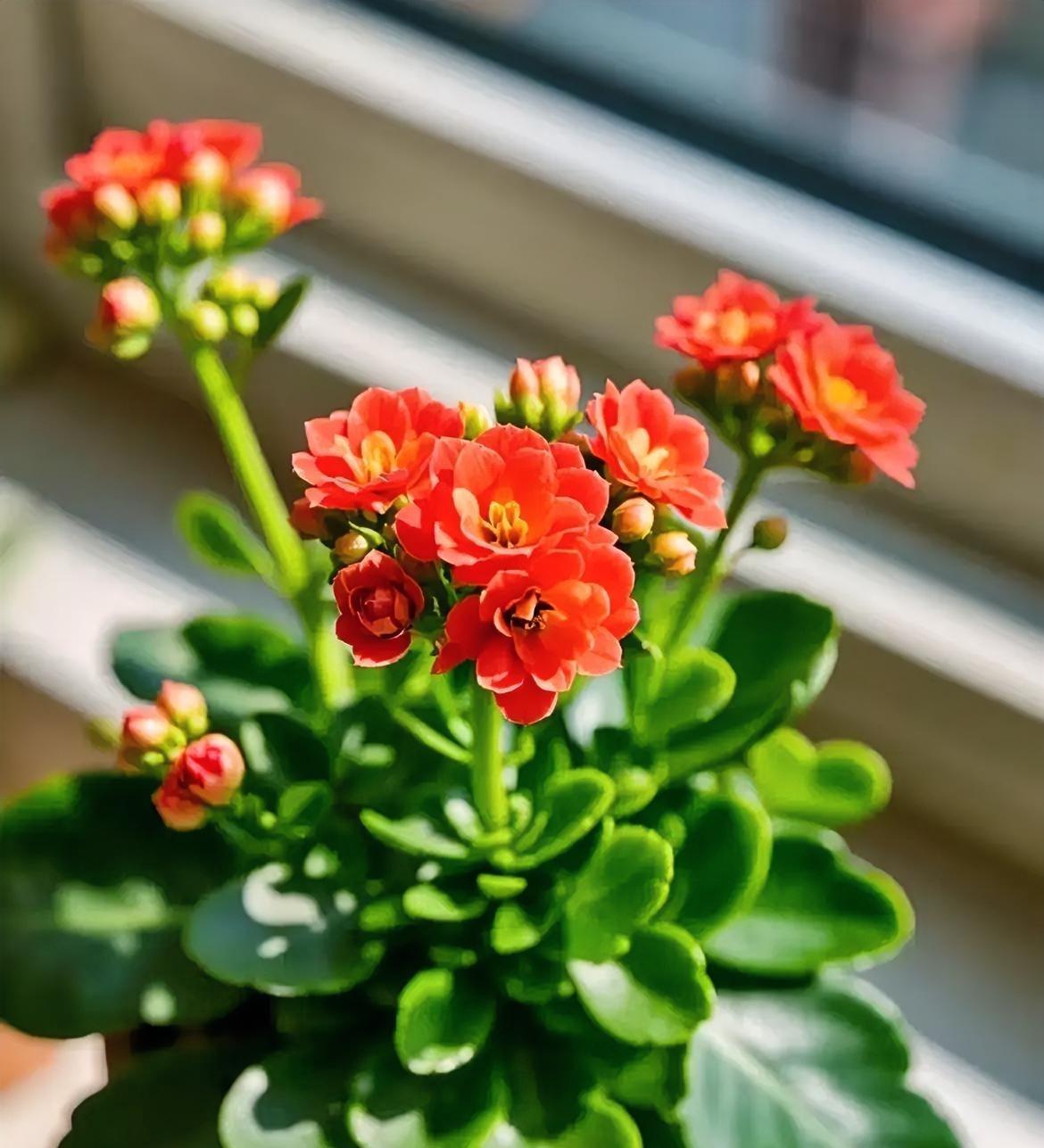 晚年最舒服、最幸福的6类人：小区长椅上常坐着位张阿姨，82岁还能自己买菜做饭