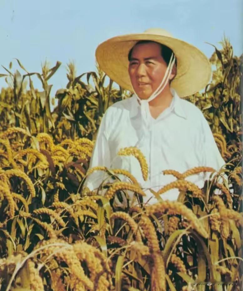 1962年，邓子恢向毛主席提出支持“包产到户”的建议，毛主席说：“你怎么又动摇了