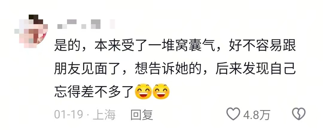 笨笨的我傻傻的活朋友以为我守口如瓶，其实我只是忘了他们说过什么