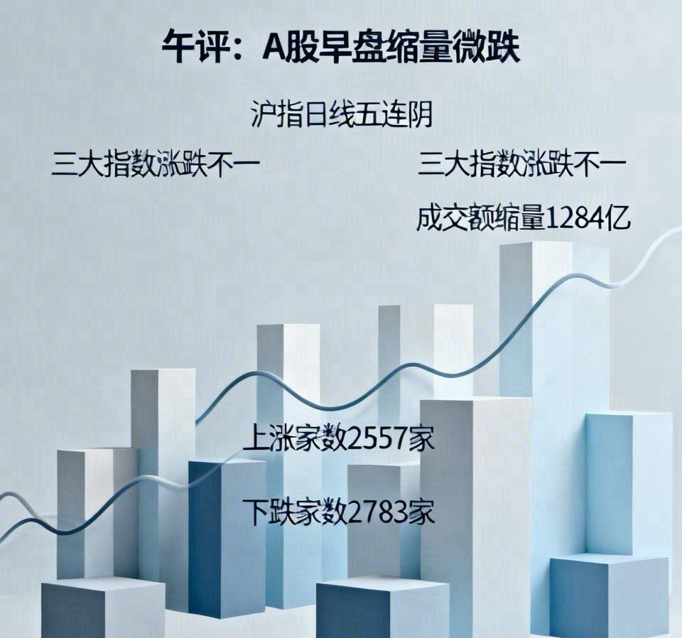 午评：A股早盘缩量微跌，沪指日线五连阴，接下来怎么走？听老手分析上午收盘了，三